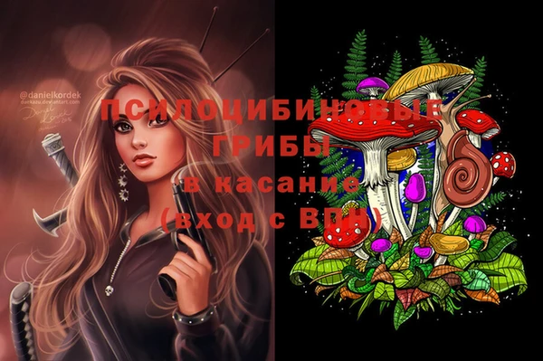 гашик Алексеевка