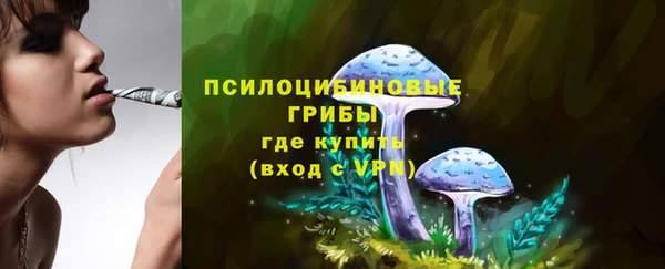 таблы Алексин