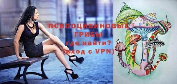 гашик Алексеевка