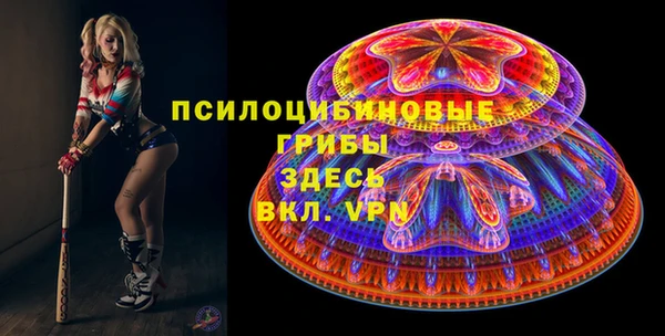 прущие грибы Алзамай