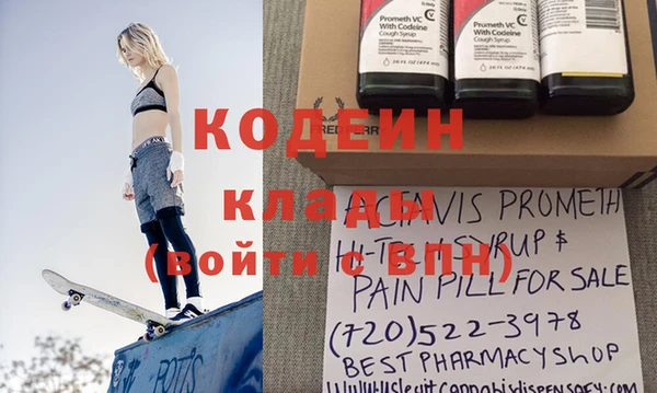 прущие грибы Алзамай