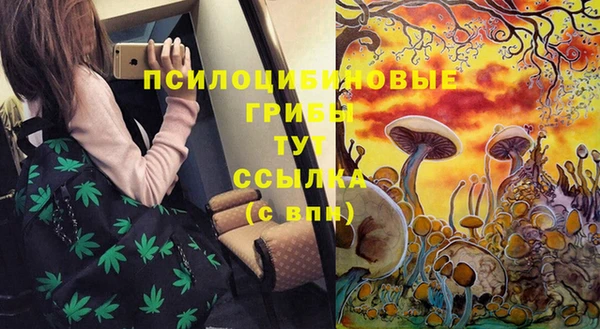 прущие грибы Алзамай