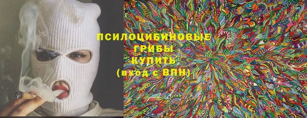 прущие грибы Алзамай