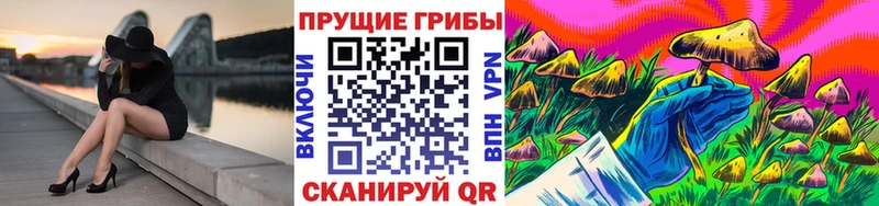 сколько стоит  Бавлы  Псилоцибиновые грибы Psilocybe 